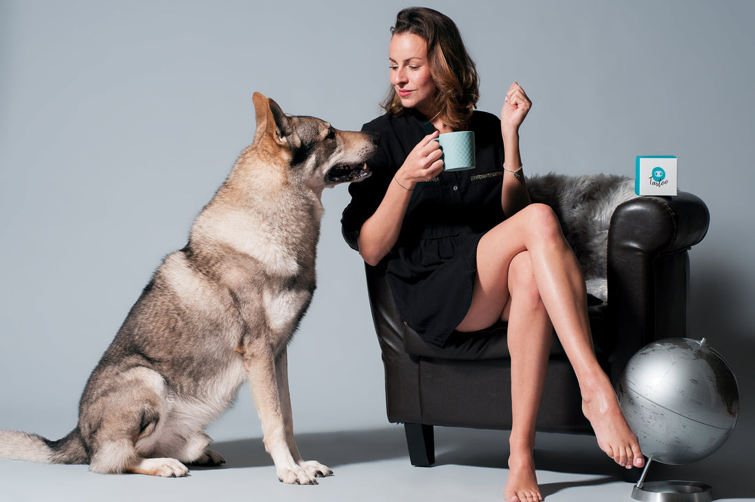 CHI L’HA DETTO CHE SOLO GLI UMANI HANNO STILE? 5 regole per un look cane-padrone da urlo