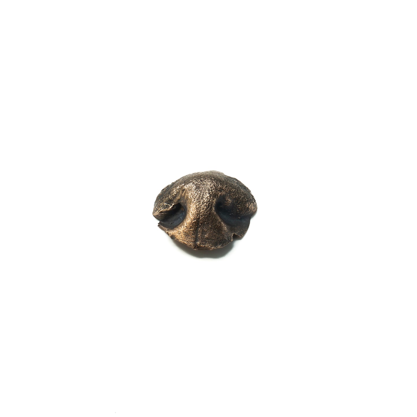 impronta naso cane in bronzo