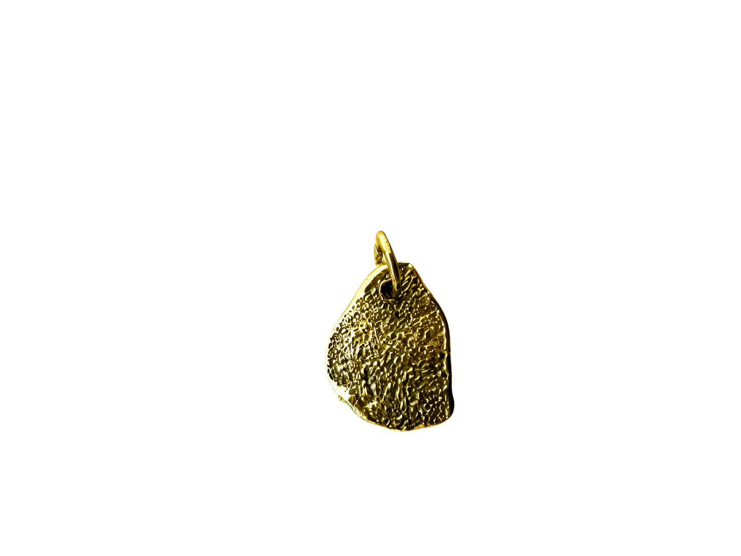 pendente in oro impronta cane gatto