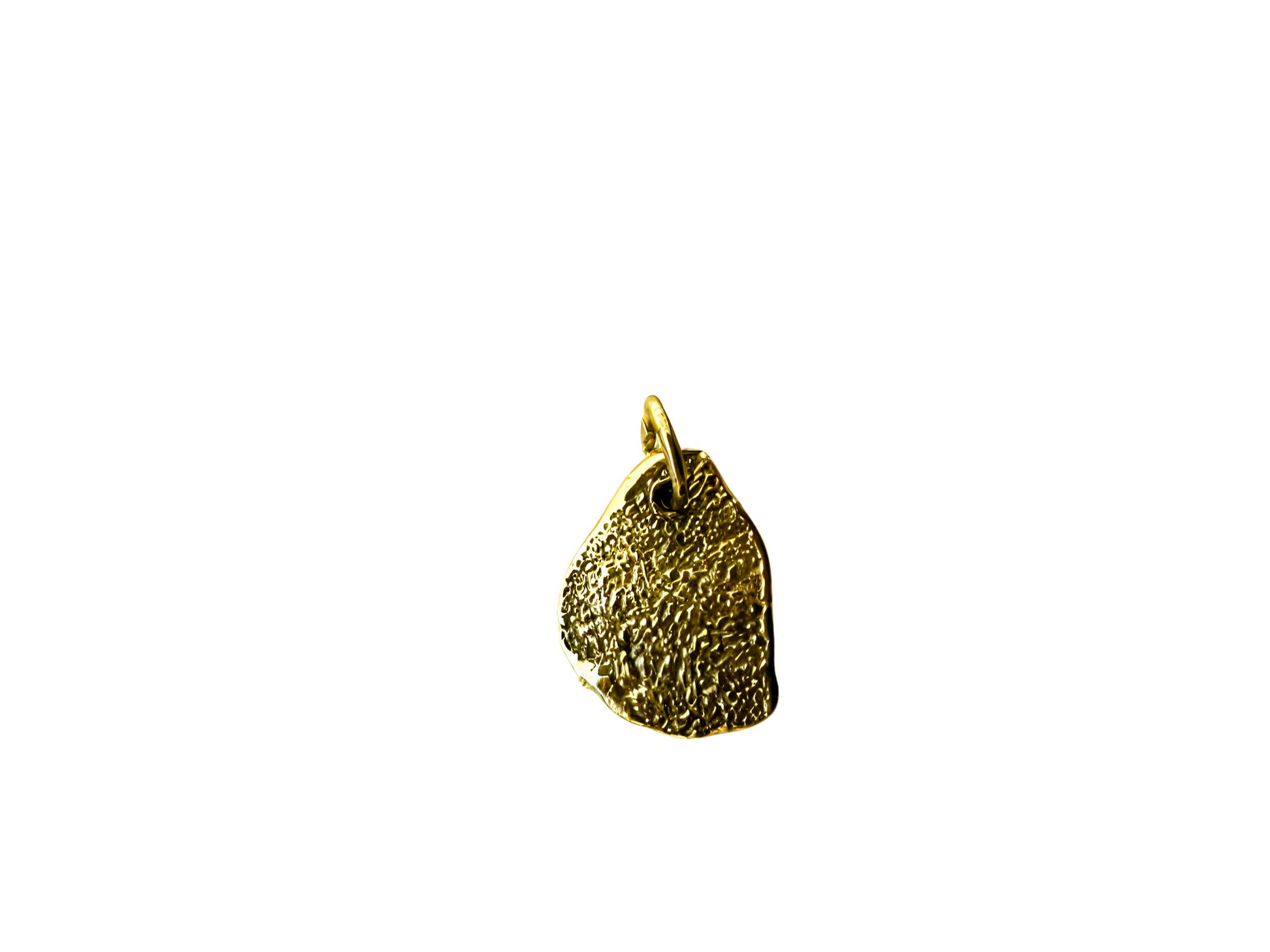 pendente in oro impronta cane gatto